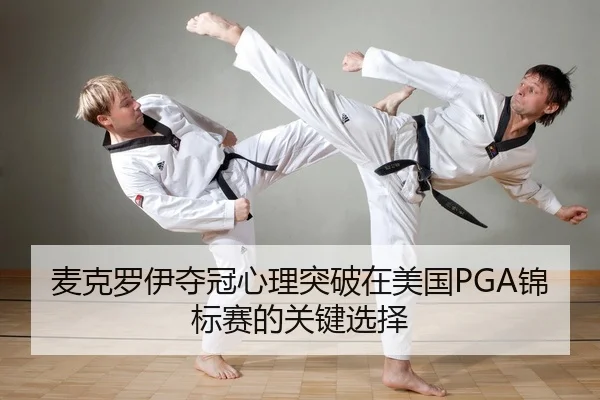 mai-ke-luo-yi-duo-guan-xin-li-tu-po-zai-mei-guo-jin-biao-sai-de-guan-jian-xuan-ze-2-754.jpg