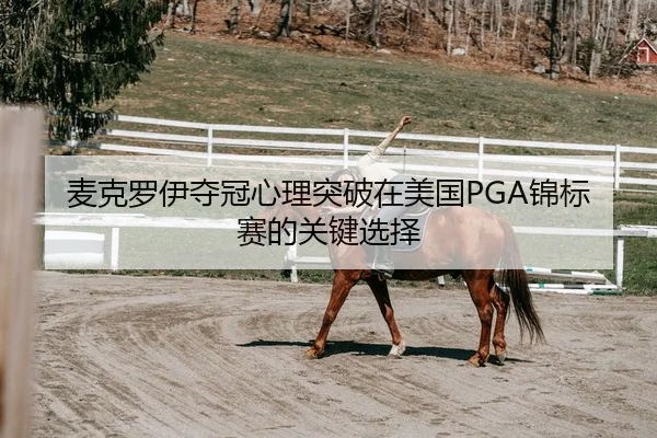 麦克罗伊夺冠心理突破在美国PGA锦标赛的关键选择